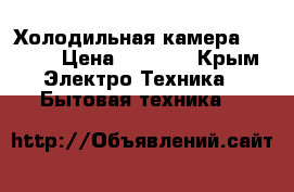 Холодильная камера Tesler › Цена ­ 8 000 - Крым Электро-Техника » Бытовая техника   